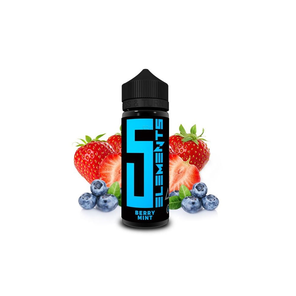 5 Elements Longfill Aroma Berry Mint