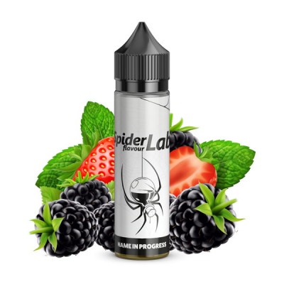 SpiderLab Aroma - Name in Progress - 8 ml (inkl. 60 ml Leerflasche)