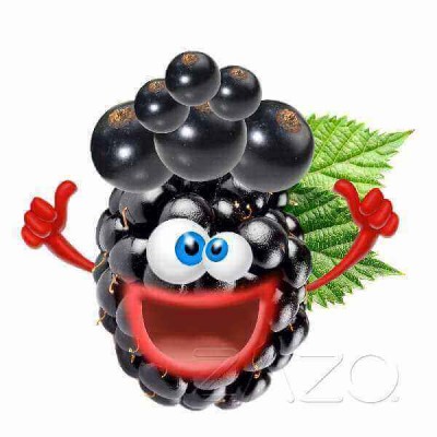 ZAZO E-Liquid Crazy Berries